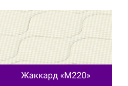 Жаккард «M220».png